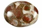 Polished King Cobra Orbicular Jasper Pocket Stones - Photo 3